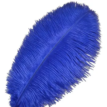 100vnt/Daug Royal Blue Stručio Plunksnų Amatų 15-70cm Karnavaliniai Kostiumai, Vestuvių Papuošalai Kamuoliai