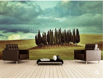 Custom gamtos tapetai,Kiparisų Medžių Toskanos Kraštovaizdžio,3D foto freskos už kambarį restoranas, kambarių foną tapetai