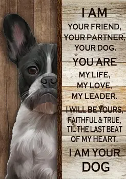 Mielas Šuo Pasirašyti, aš Esu Jūsų Draugas, Jūsų Partneris, Jūsų Šuo Tu esi Mano Gyvenimas Alavo Ženklai Namų Baras, Kavos, 12